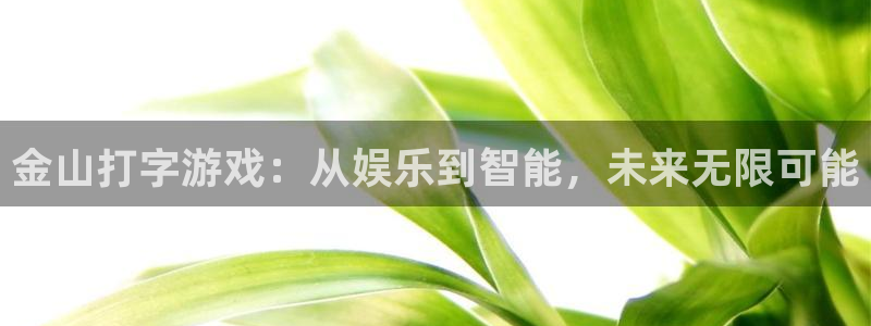 星亿娱乐4招商：金山打字游戏：从娱乐到智能，未来无限可能